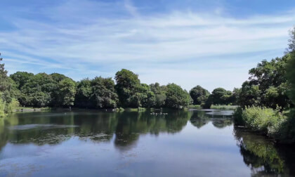 Pure Harmony 4K – Scenic Views & Calming Sounds 🌸📚