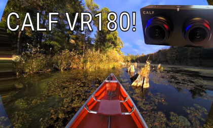 Calf VR Canoe Glide! River Swamp Sunset. VR Video Calf VR Canoe Glide! River Swamp Sunset. VR