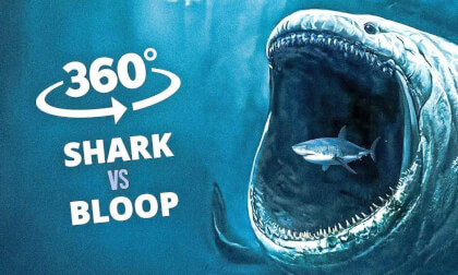 360° VR BLOOP vs shark | Underwater Horror Experience | 4K VR 360 Video