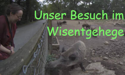 Unser Besuch beim Wisentgehege in Springe