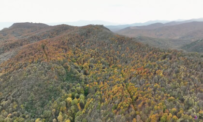 Endless Views 4K – Soothing Landscapes & Peaceful Sounds 🏔️🎨