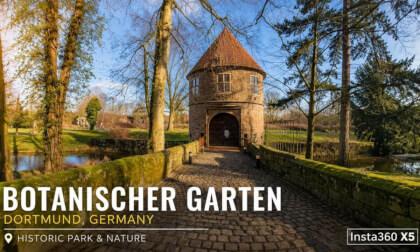 Rombergpark Dortmund | One of Europe’s Largest Botanical Gardens | Walkaround