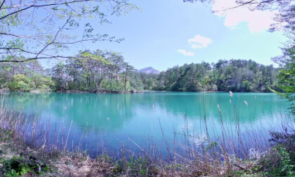 VR180 8k 新緑の福島県五色沼（Fresh green Goshikinuma Pond group in Fukushima）