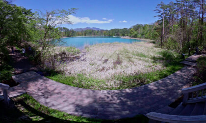 VR180 8k 新緑の福島県五色沼（Fresh green Goshikinuma Pond group in Fukushima）