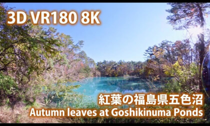 VR180 8k 紅葉の福島県五色沼（Autumn leaves at Goshikinuma Ponds in Fukushima）