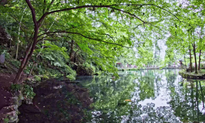 VR180 8k 出流原弁天池 （Izuruhara Benten Pond in Tochig）