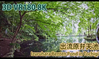 VR180 8k 出流原弁天池 （Izuruhara Benten Pond in Tochig）