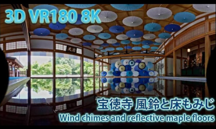 VR180 8k 宝徳寺 風鈴と床もみじ （Wind chimes and reflective maple floors at Houtokuji Temple in Gunma）