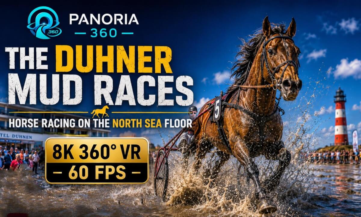 Horse Racing on the North Sea Floor | Duhner Wattrennen 2026 | 8K 360° VR 60FPS
