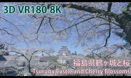 VR180 8k 福島県鶴ヶ城と桜（Tsuruga Castle and Cherry Blossoms in Aizuwakamatsu）