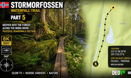 StorMorFossen Waterfall Trail — Part 5 | Deep Nordic Forest Along the Mora River | 8K 360° VR Norway