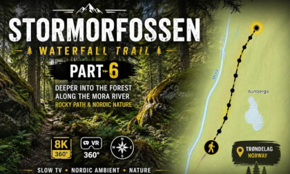 StorMorFossen Waterfall Trail — Part 6 | Rocky Path Through the Nordic Forest | 8K 360° VR Norway