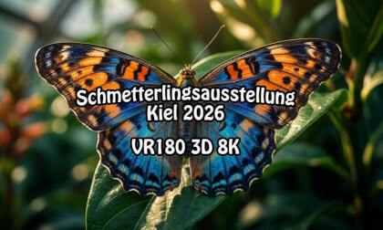 Schmetterlinge / Butterflies in Botanischer Garten Kiel 2026 (VR180 3D 8k)