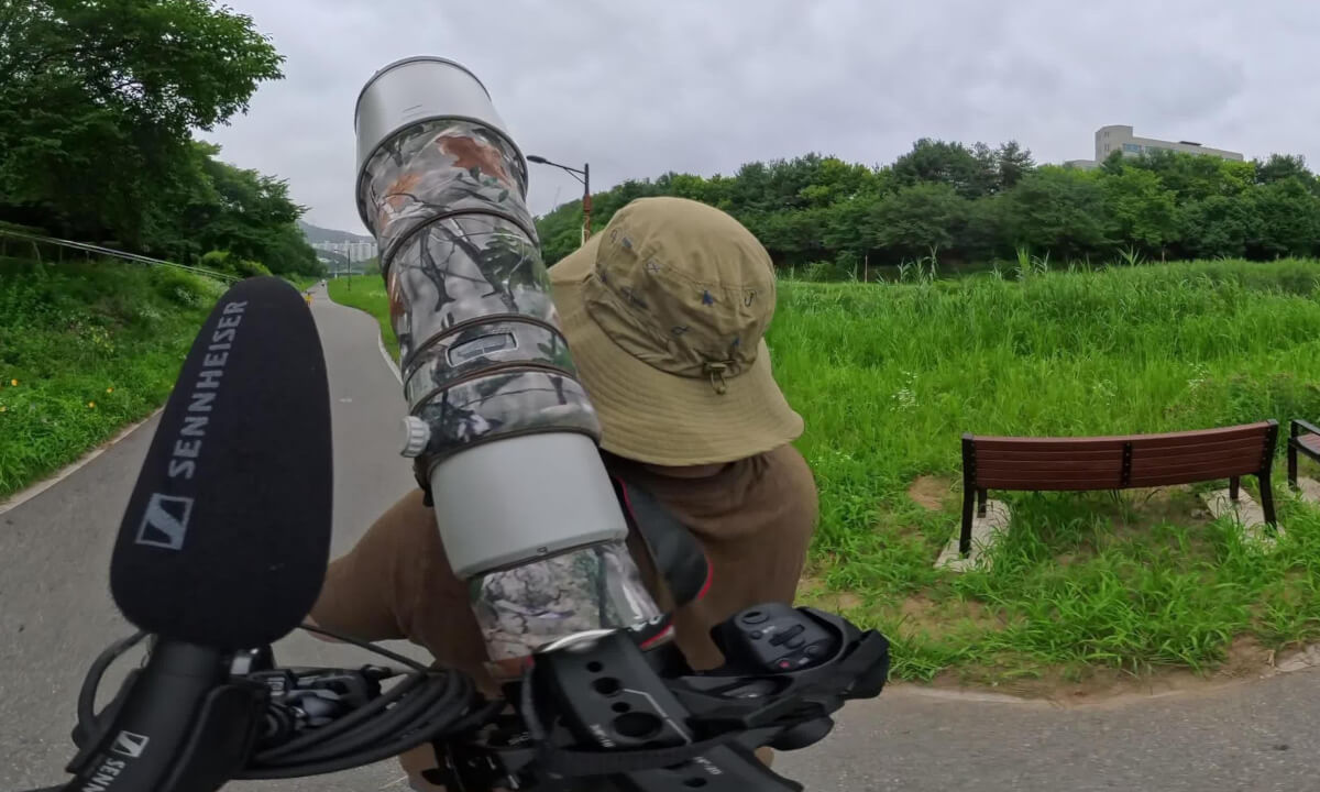4K 360 Birdwatching at Tancheon Stream in Bundang, South Korea