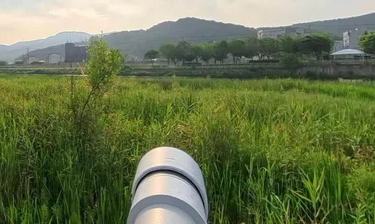 Birdwatching at Gyeongancheon Stream in Yongin, Gyeonggi-do – Part 1