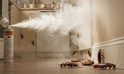 Get rid of cockroaches with smoke-type fumigators.