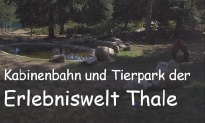 Thale Erlebniswelt (Kabinenbahn, Tierpark)