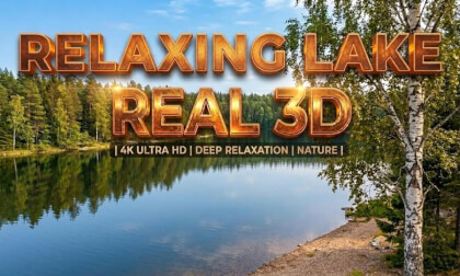 3D Quiet Evening by the Lake