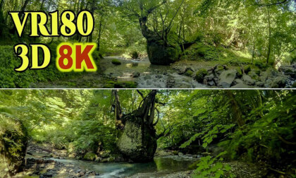 ’Nekobari’ rock , a striking rock formation featuring a massive tree with roots spreading over a giant boulder in a mountain stream in Akita , JAPAN
