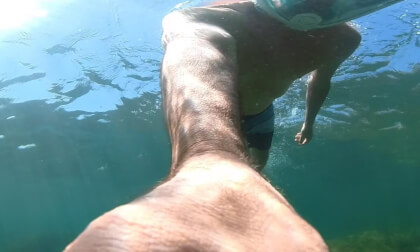 VID_alain38