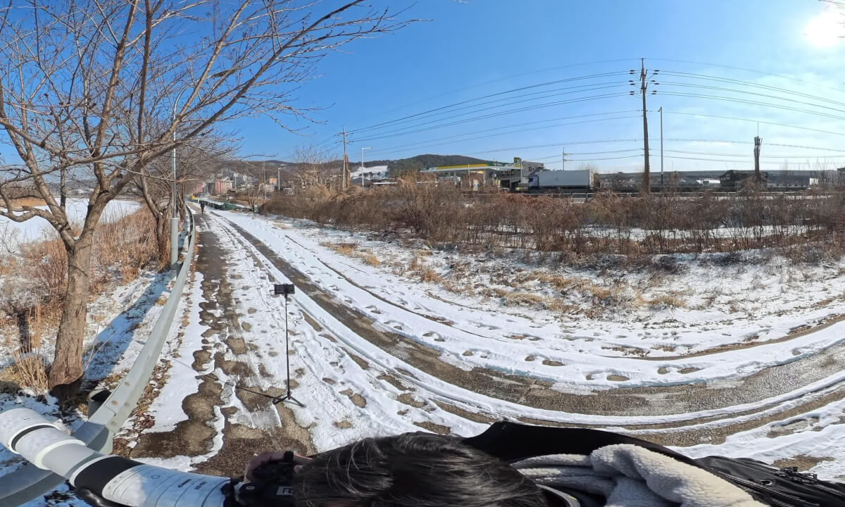 Winter Birdwatching at Tancheon Stream in Yongin, Gyeonggi-do