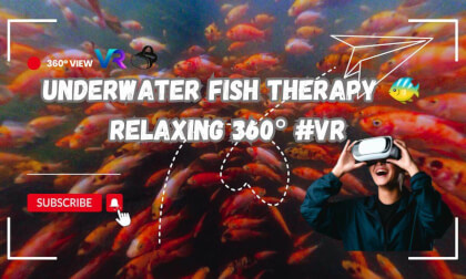 Peaceful Fish Therapy Underwater | Relaxing 360° VR Experienc🐟 #trending #360video #vr