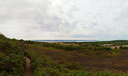 Thurstaston Hill