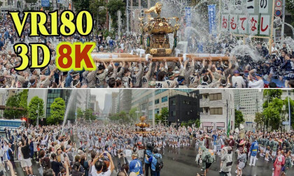 Fukagawa Hachiman Festival (Annual Grand Festival of Tomioka Hachimangu Shrine) in Tokyo , JAPAN