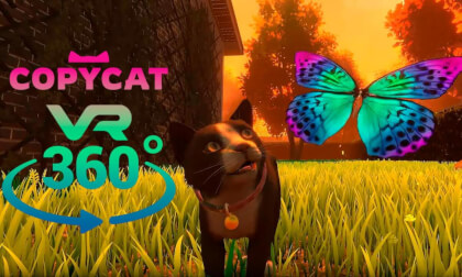 360° | Adopted cat from a shelter [Copycat]