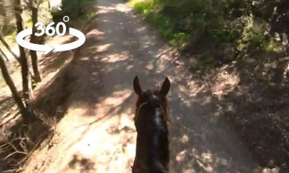 Horse Trail 360 VR Video Horse Trail 360 VR