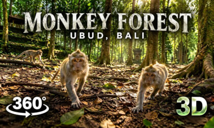 Bali Monkey Forest Sanctuary