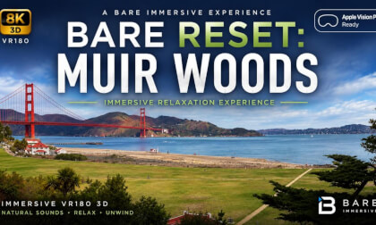 SAN FRANCISCO — PART I: MUIR WOODS