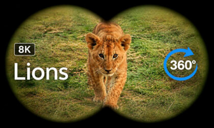 Majestic Lions of the Masai Mara & Serengeti VR Safari in 8K (Kenya, Tanzania)