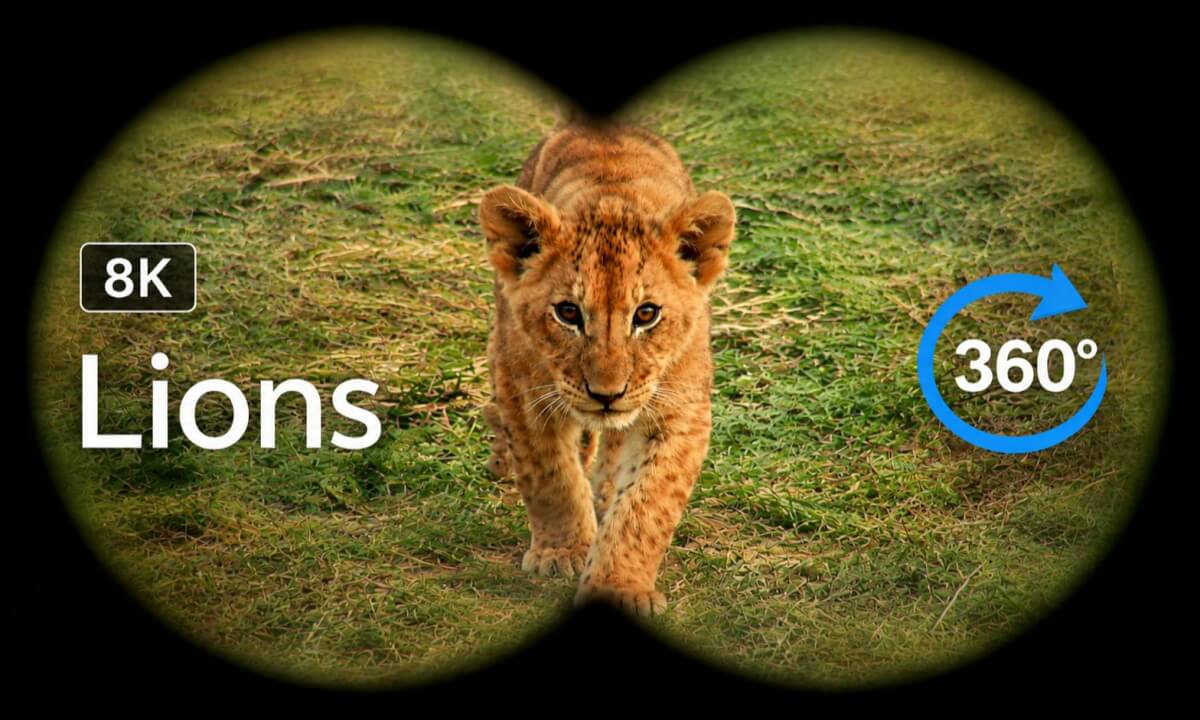Majestic Lions of the Masai Mara & Serengeti VR Safari in 8K (Kenya, Tanzania)