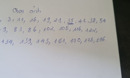 MÙA HOA SIM TÍM ĐÀ LẠT TEST video-stitched 1 VR Video MÙA HOA SIM TÍM ĐÀ LẠT TEST video-stitched 1 VR