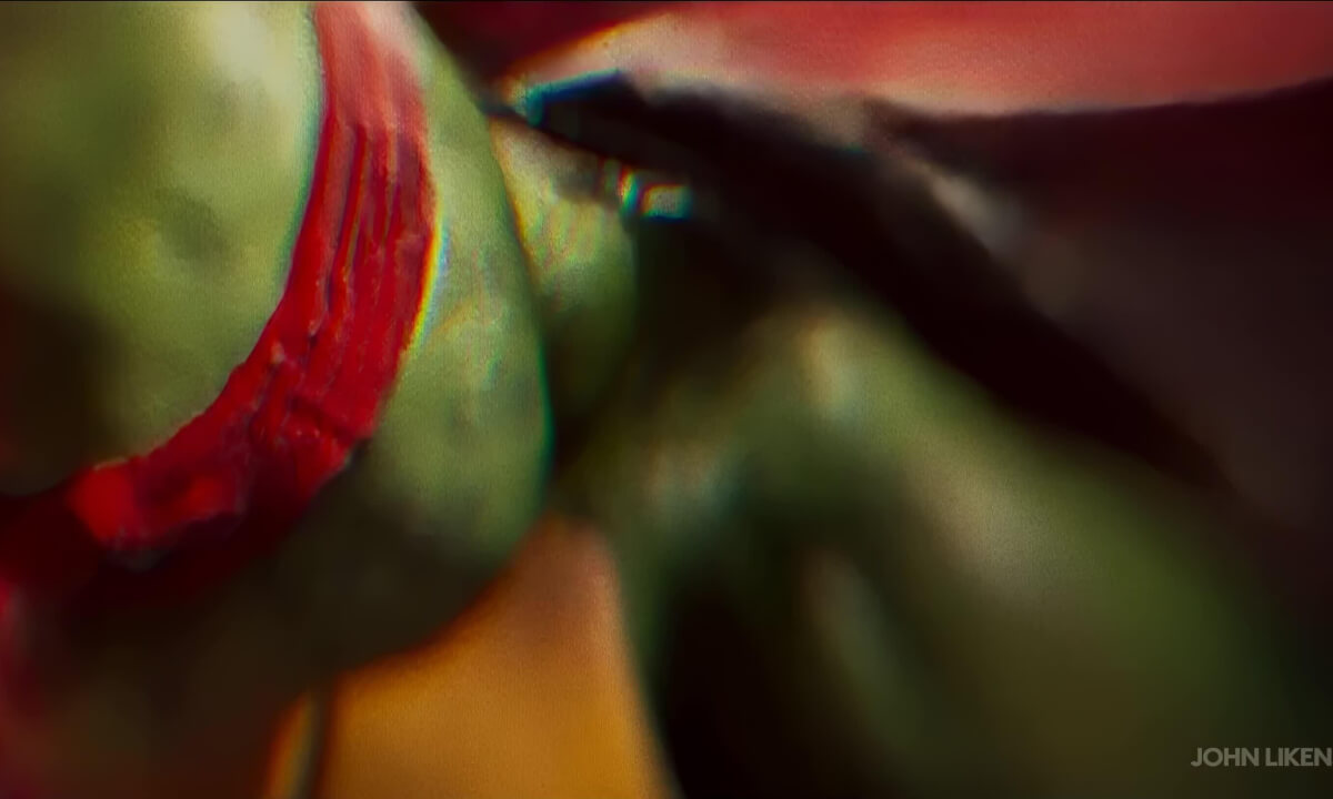 Ninja Turtles: Raphael Fight
