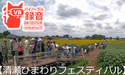🌻[Walking Through the Kiyose Sunflower Festival—Surrounded by a Sea of Summer Sunflowers]⑤