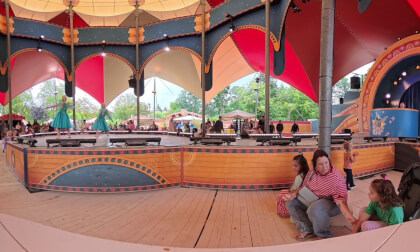 DJ Ezel (donkey) at the Efteling (NL)