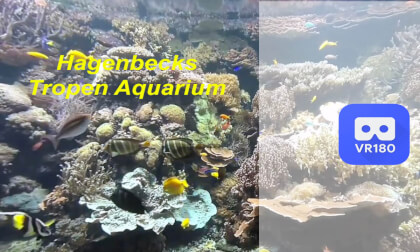 Tropen-Aquarium Hagenbeck Tropen-Aquarium Hagenbeck