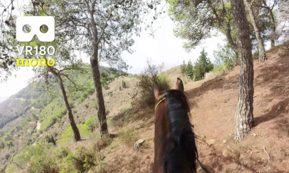 Horse Trail VR180 mono VR Video Horse Trail VR180 mono VR