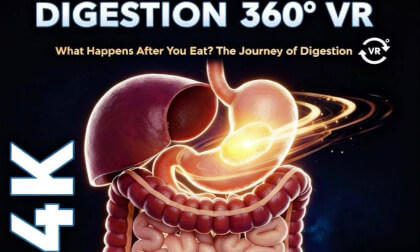 from food to poop-how to see inside the body 360
