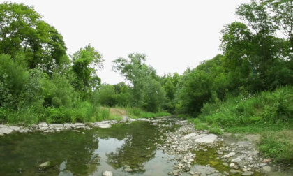 Lofi and the Creek