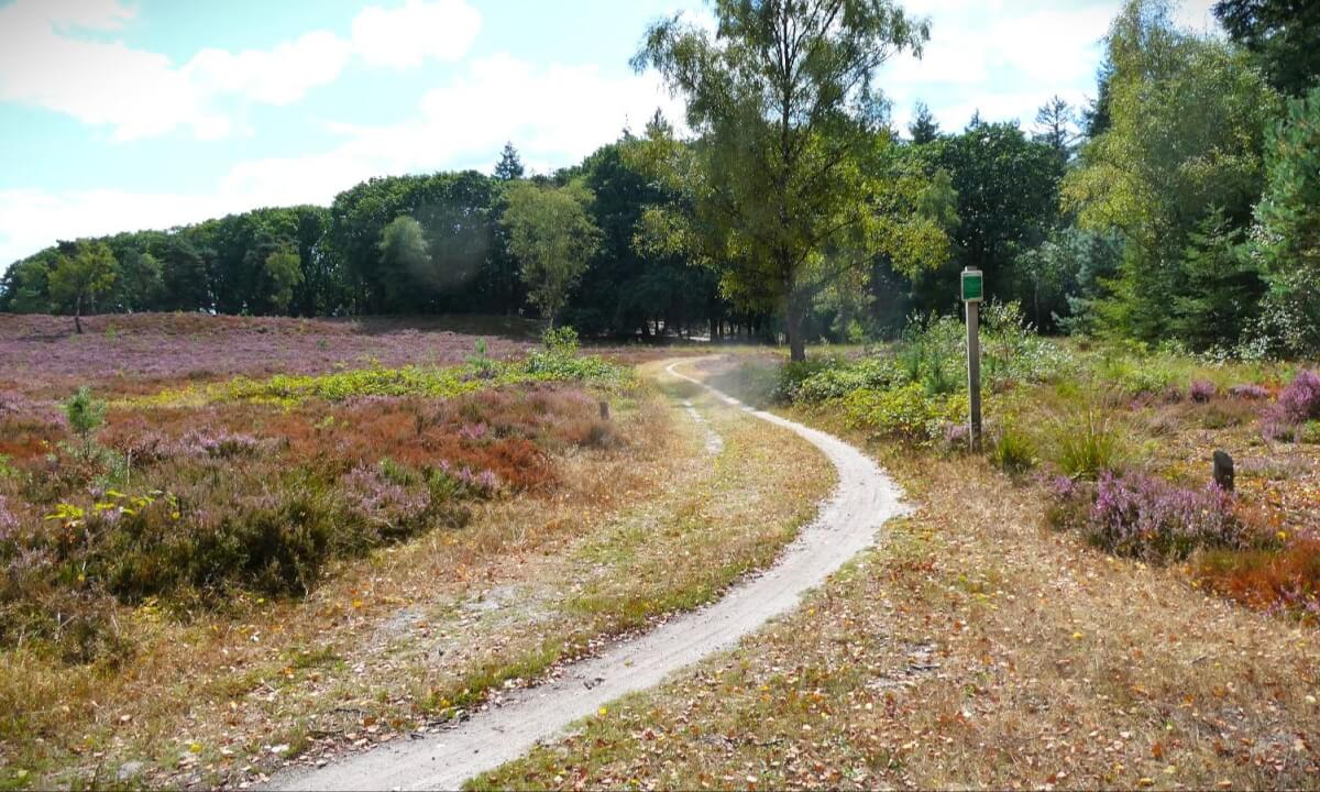 VR180 Hike in 'De Veluwe' park Netherlands