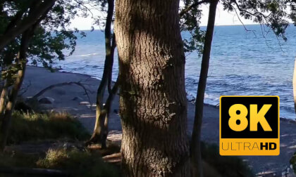 Kirchner's Coast Summer 26 in 8K SBS!