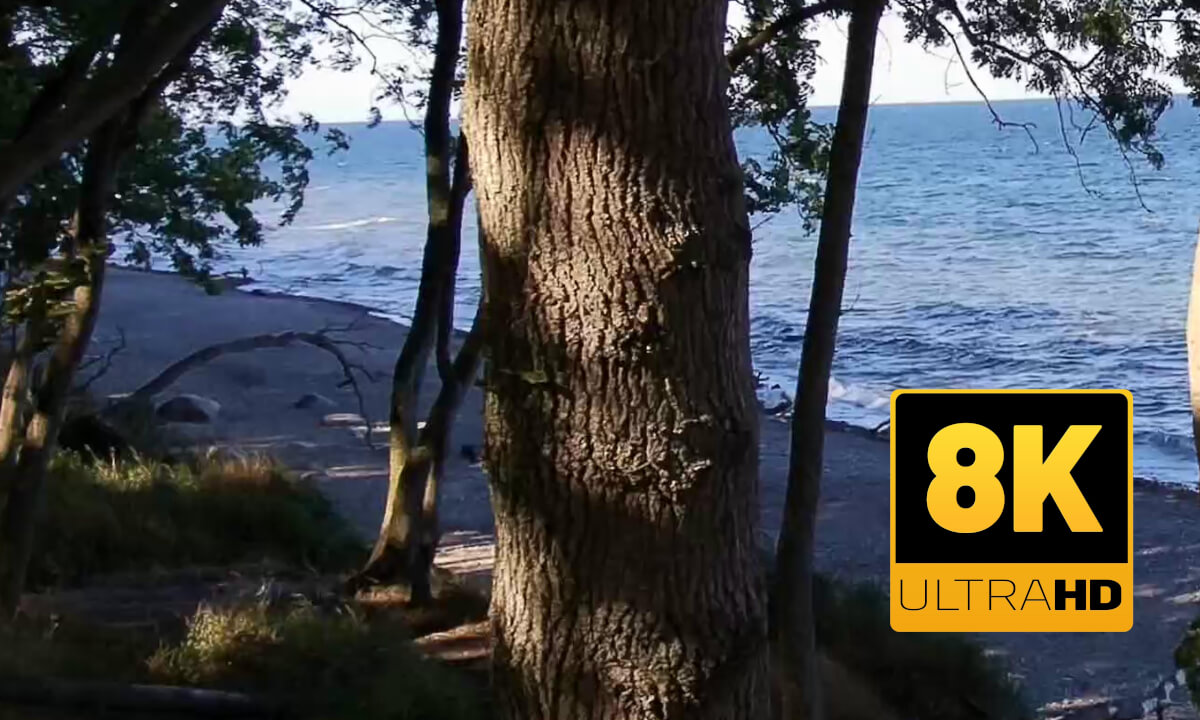 Kirchner's Coast Summer 26 in 8K SBS!