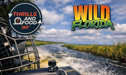 Wild Florida Airboat Adventure - 360° VR Experience - on the headwaters of the Everglades