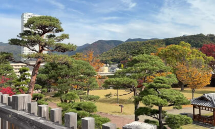 ⁨Maizurujo Park⁩, ⁨Kofu⁩, ⁨Yamanashi⁩, ⁨Japon⁩.MOV
