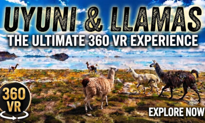 THE END OF THE WORLD: Uyuni Salt Flat & Llama Herd (8K VR)