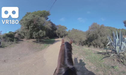 Horse Trail VR180 VR Video Horse Trail VR180 VR