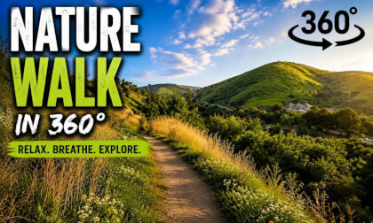 Peaceful Nature Walk in 360° VR | Relax & Explore